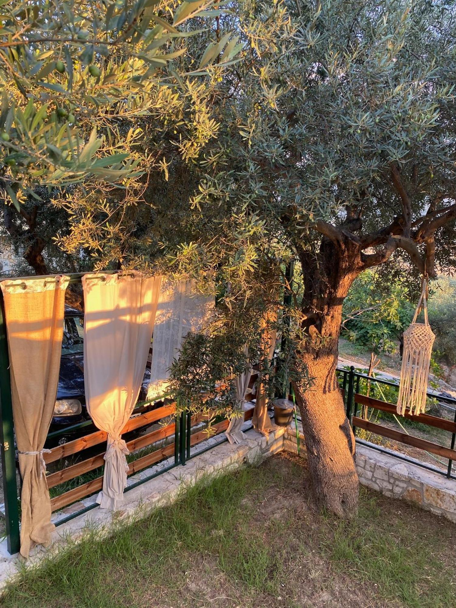 Liodentro - Olea Villa Platariá Kültér fotó