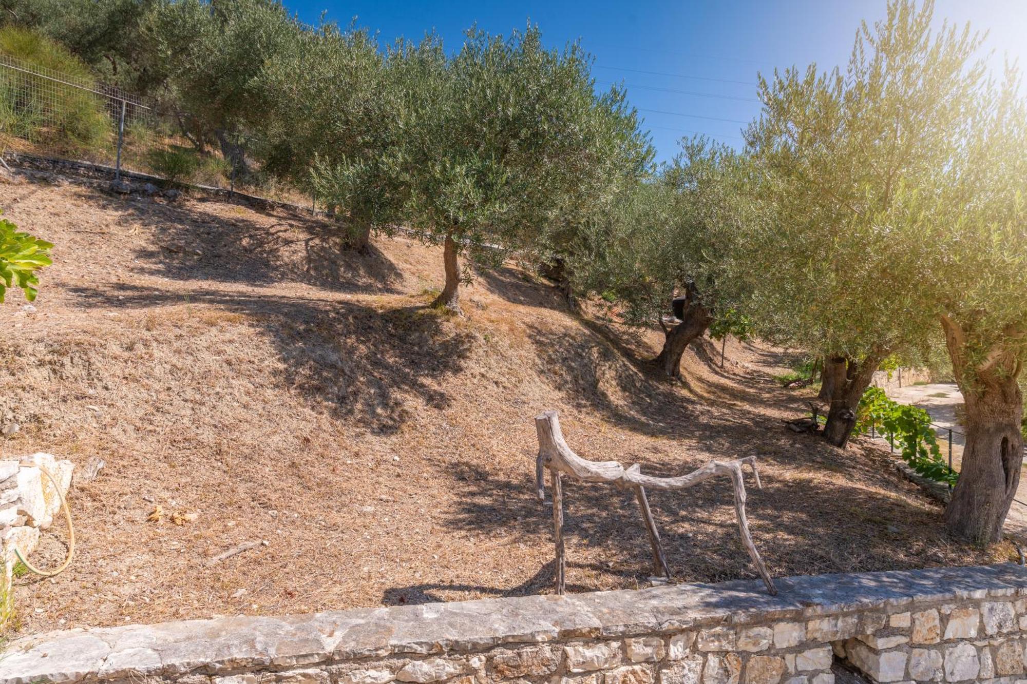 Liodentro - Olea Villa Platariá Kültér fotó