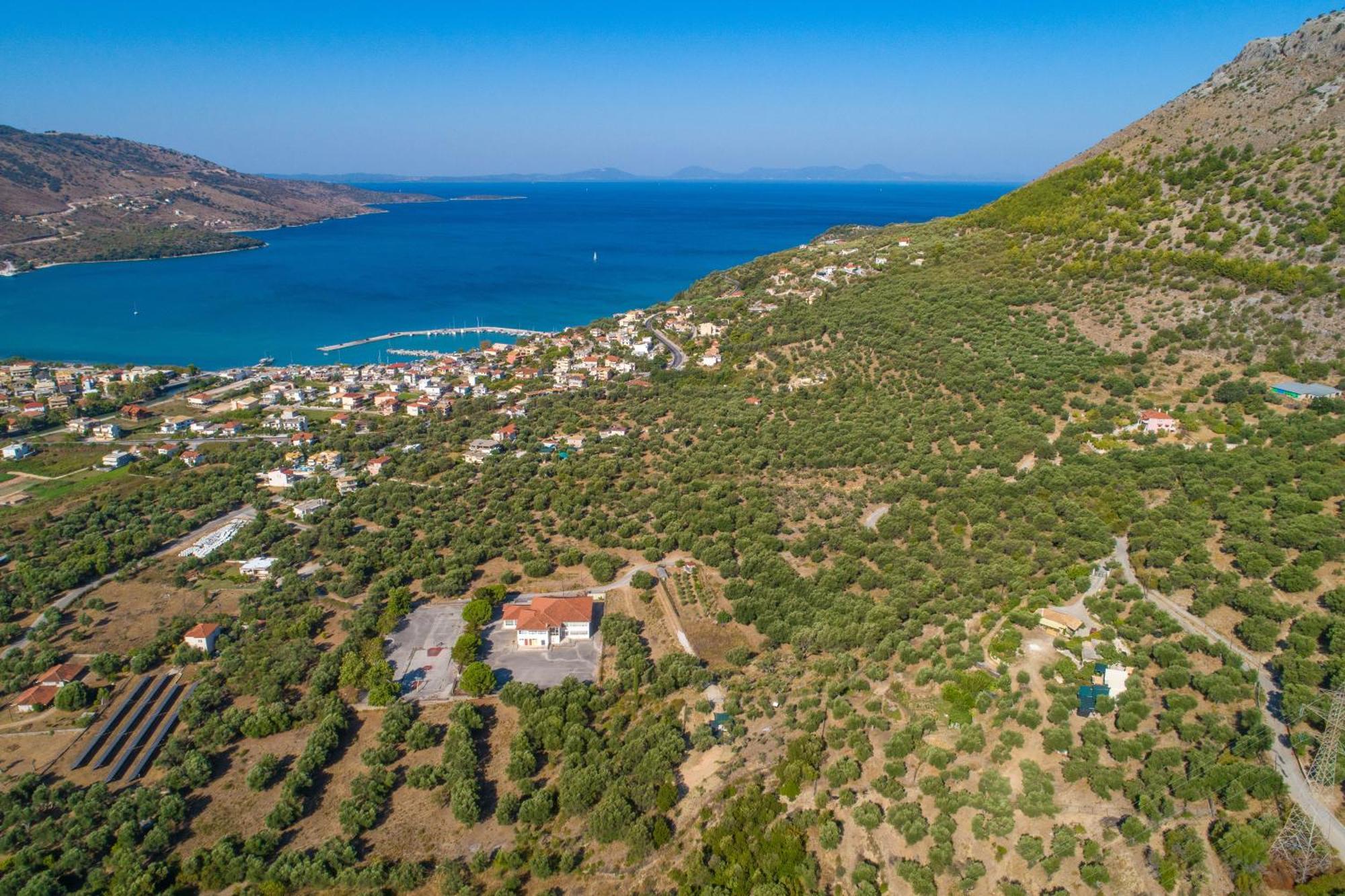 Liodentro - Olea Villa Platariá Kültér fotó