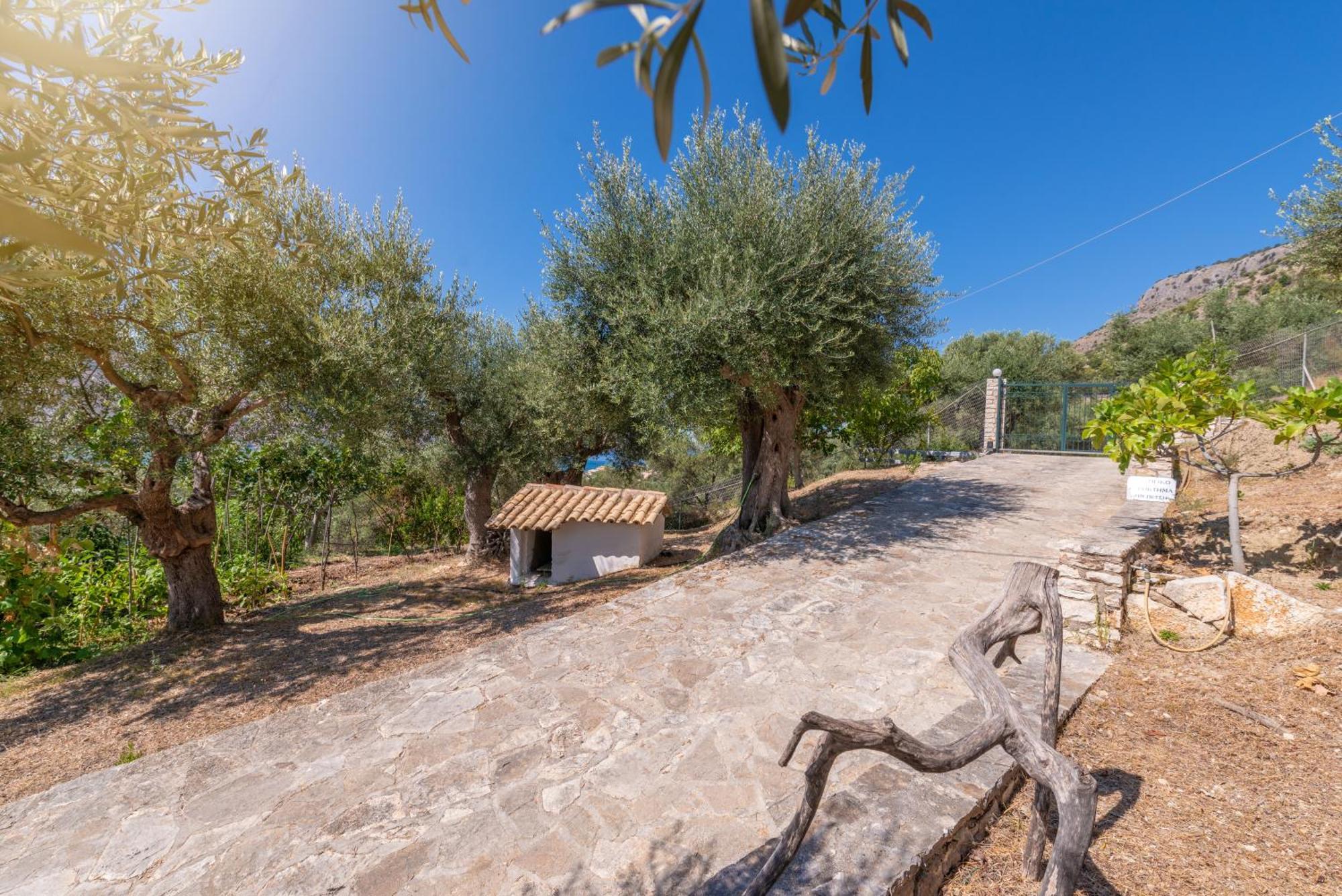 Liodentro - Olea Villa Platariá Kültér fotó