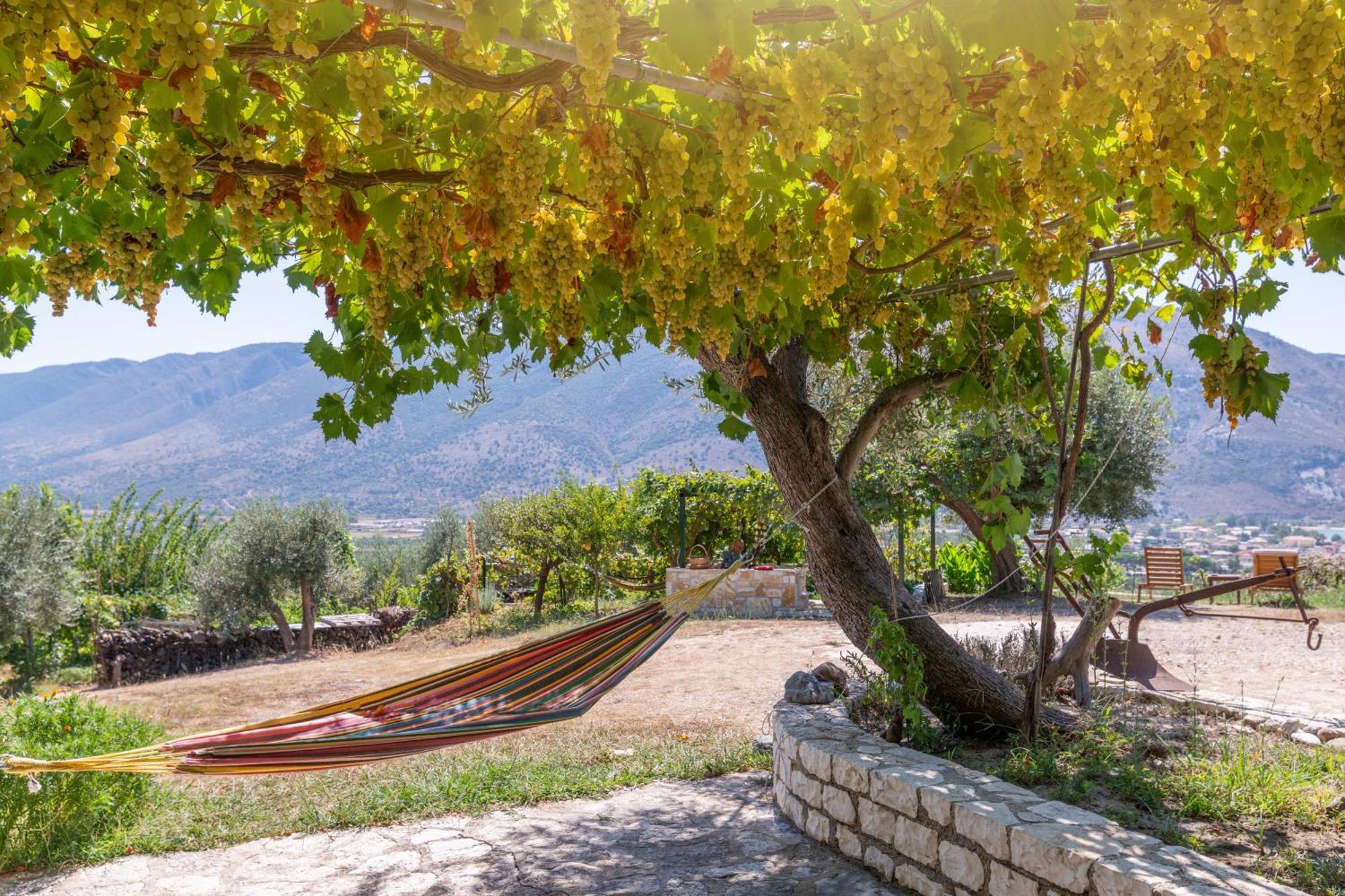 Liodentro - Olea Villa Platariá Kültér fotó