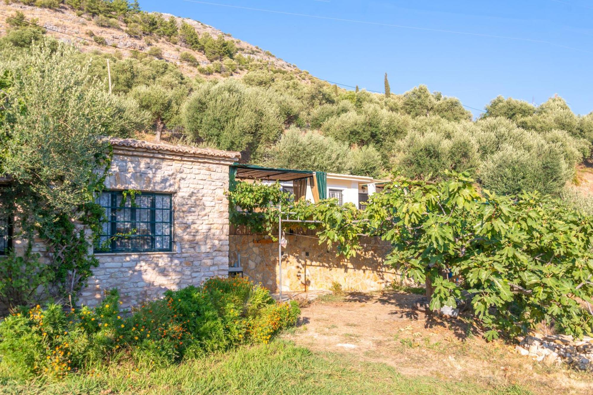 Liodentro - Olea Villa Platariá Kültér fotó