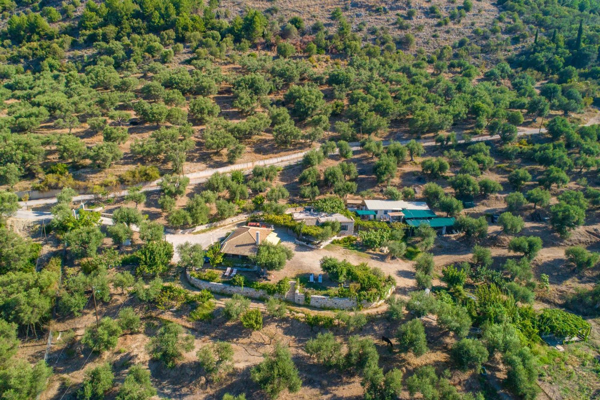 Liodentro - Olea Villa Platariá Kültér fotó