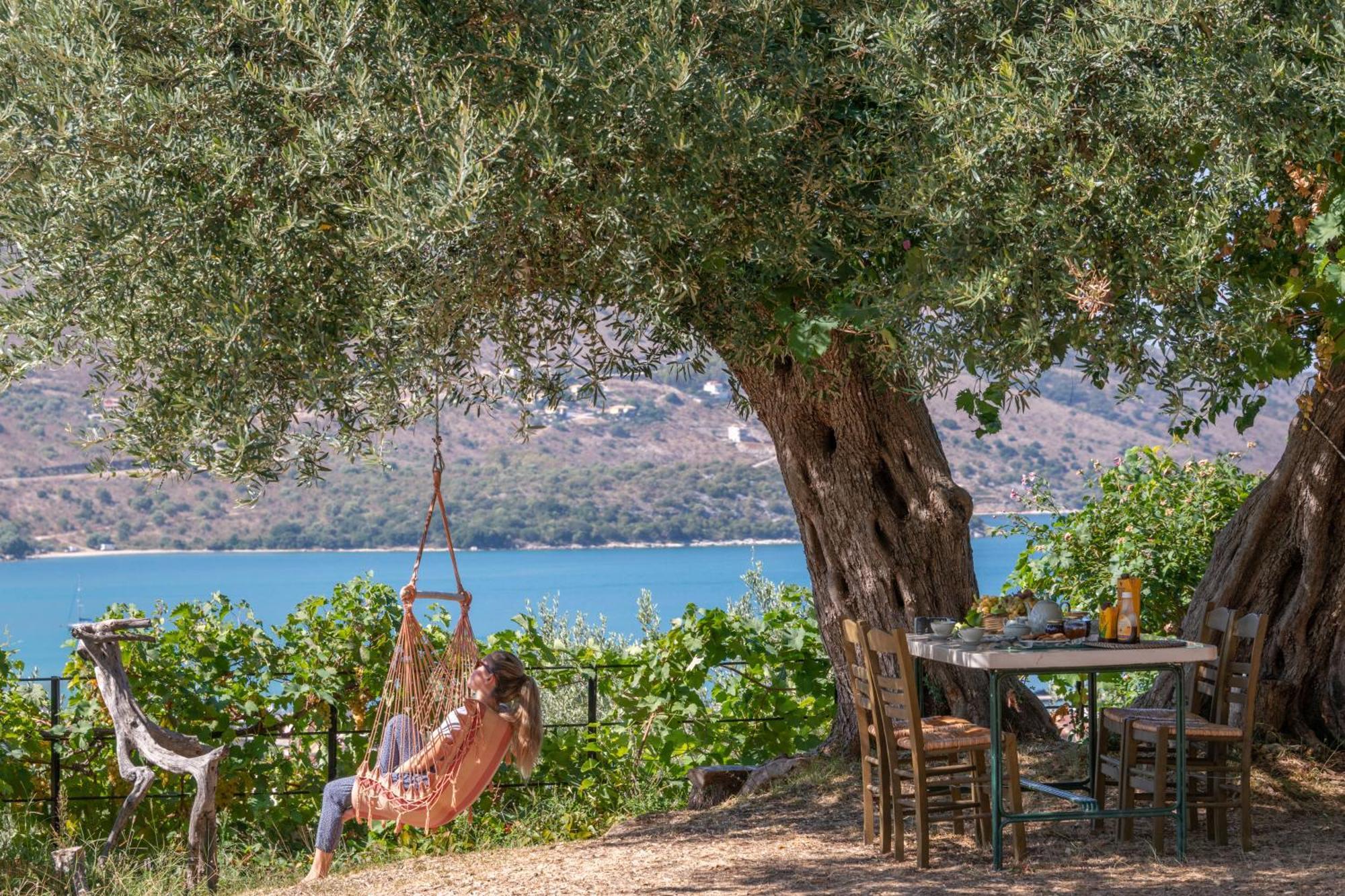 Liodentro - Olea Villa Platariá Kültér fotó